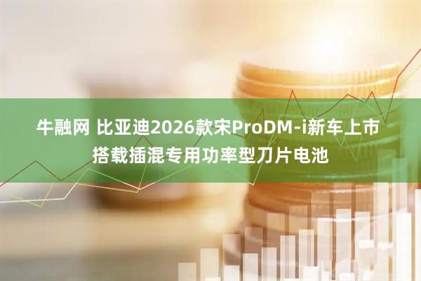 牛融网 比亚迪2026款宋ProDM-i新车上市 搭载插混专用功率型刀片电池