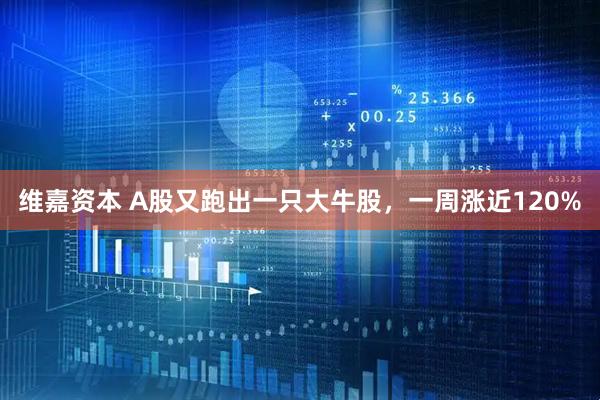 维嘉资本 A股又跑出一只大牛股，一周涨近120%